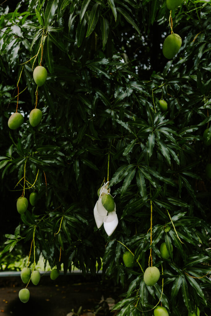 wedding day bridal shoes handing on mango tree at La Haut Resort in St. Lucia.