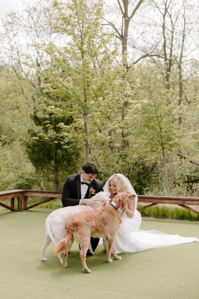 Bride and groom share first look with their two dogs at The Barn at Timber Pointe venue in Chicago, IL.